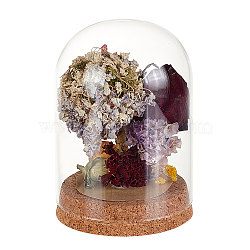 Glass Dome Cover, Decorative Display Case, Cloche Bell Jar Terrarium with Cork Base, for DIY Preserved Flower Gift, Clear, 90x125mm(AJEW-WH0314-446C)