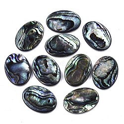 Natural Abalone Shell/Paua Shell Cabochons, with Freshwater Shell, Oval, Colorful, 25x18x3mm(SSHEL-N034-73B-01)