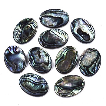 Natural Abalone Shell/Paua Shell Cabochons, with Freshwater Shell, Oval, Colorful, 25x18x3mm