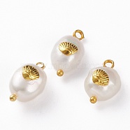 Natural Keshi Pearl Pendants, with Alloy Cabochons and Brass Loops, Oval with Scallop Shell, Golden, 13~16x8~9x5~8mm, Hole: 2mm(PALLOY-JF00594-04)