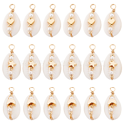 18Pcs 3 Styles Natural Cowrie Shell Pendant, Shell Shaped Charms with Brass Heart/Star/Moon Beads, Snow, 27~28.5x12.5~14x10.5~11.5mm, Hole: 3.5~4mm, 6pcs/style(PALLOY-GO00044)