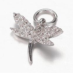 Brass Micro Pave Cubic Zirconia Charms, Dragonfly, Platinum, 13.5x15x3mm, Hole: 4mm(ZIRC-K045-09P)
