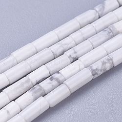 Natural Howlite Beads Strands, Column, 4x2.2mm, Hole: 0.8mm, about 99pcs/strand, 15.7 inch(40cm)(G-G783-06)