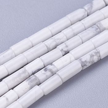 Natural Howlite Beads Strands, Column, 4x2.2mm, Hole: 0.8mm, about 99pcs/strand, 15.7 inch(40cm)