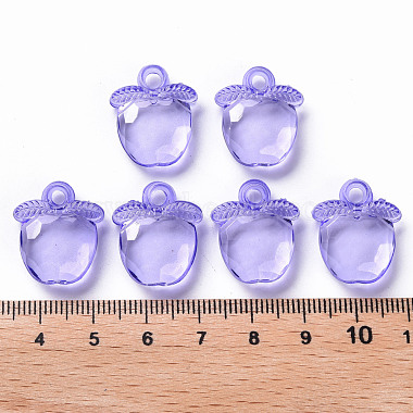 Transparent Acrylic Pendants(TACR-S154-28B-47)-4