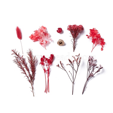 Dried Flowers(DIY-D052-25)-2