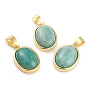 Natural Amazonite Pendants, with Golden Brass Findings, Oval, 21.5x14x6mm, Hole: 7x4mm(G-B012-10G-04)