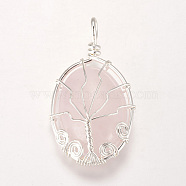 Natural Rose Quartz Pendants, with Brass Findings, Oval with Tree, Silver Color Plated, 39~39.5x22~23x9~10mm, Hole: 4mm(G-I205-A-01S)