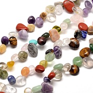 Natural & Synthetic Gemstone Chip Bead Strands, 8~22x7~16x4~8mm, Hole: 1mm, about 16 inch(G-M204-58)