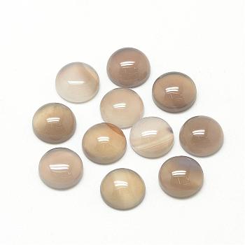 Natural Gray Agate Cabochons, Half Round/Dome, 6x3~4mm