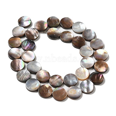 Natural Sea Shell Beads Strands(SHEL-K006-34)-2