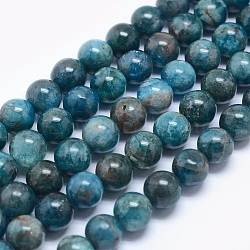 Natural Apatite Beads, Round, 6mm, Hole: 0.8mm, about 560~620pcs/250g(G-E481-05-6mm)