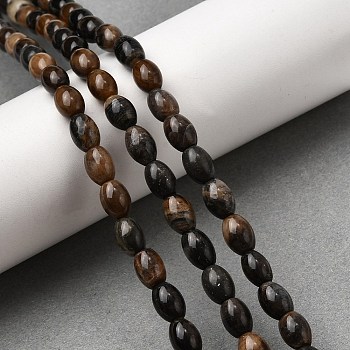 Natural Petrified Wood Beads Strands, Oval, Coconut Brown, 8~8.5x6~7mm, Hole: 0.7~0.8mm, about 49~50pcs/strand, 15.75''(40cm)