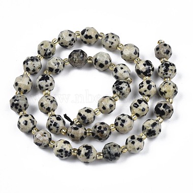 Natural Dalmatian Jasper Beads Strands(G-N326-100-02)-2