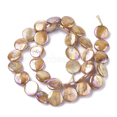 Freshwater Shell Beads Strands(X-SHEL-S274-52C)-2