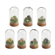 Natural Gemstone Nuggets Display Decoration with Glass Dome Cloche Cover, Cork Base Bell Jar Ornaments for Home Decoration, 30x58~61mm(DJEW-B009-04)