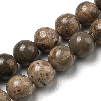 Natural Map Stone/Picasso Stone Beads Strands, Round, 8mm, Hole: 0.8mm, about 49pcs/strand, 15.59~15.71''(39.6~39.9cm)
