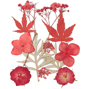 Pressed Dried Flowers, for Cellphone, Photo Frame, Scrapbooking DIY and Resin Art Floral Decors, Red, 135x105x0.3mm