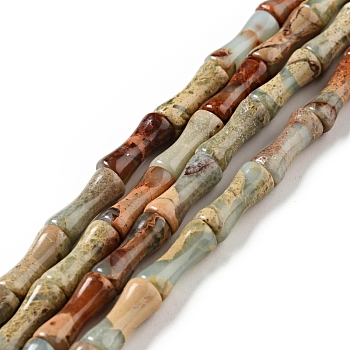 Natural Aqua Terra Jasper Beads Strands, Bamboo, 5.5x13mm, Hole: 1mm, about 31pcs/strand, 16.26''(41.3cm)
