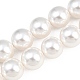 Shell Pearl Bead Strands(BSHE-H001-06)-1