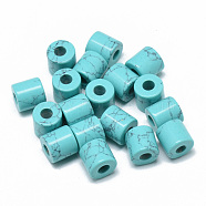 Synthetic Turquoise Beads, Dyed, Column, 9x9mm, Hole: 3.5mm(G-T073-21I)