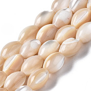 Natural Trochid Shell/Trochus Shell Beads Strands, Oval, Seashell Color, 9x6mm, Hole: 0.7mm, about 44~45pcs/strand, 15.35 inch(39cm)(X-SSHEL-S266-021B-02)