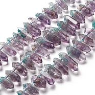 Natural Amethyst Beads Strands, Dyed, Faceted, Double Terminated Pointed/Bullet, 15.5~33x9.5~11x9~10mm, Hole: 2mm, about 34~37pcs/strand, 16.34~16.73 inch(41.5~42.5cm)(G-F719-03)