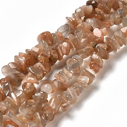 Natural Sunstone Chip Beads Strands, 7~12x5.5~7mm, Hole: 0.7mm, 31.10 inch(79cm)(G-M205-15A)