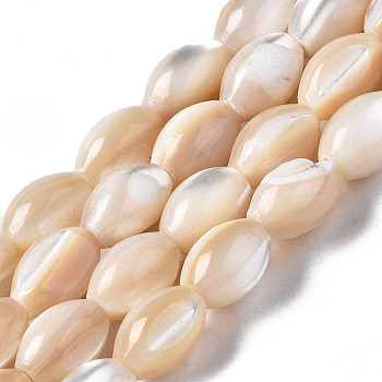 Natural Trochid Shell/Trochus Shell Beads Strands, Oval, Seashell Color, 9x6mm, Hole: 0.7mm, about 44~45pcs/strand, 15.35 inch(39cm)