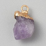 Natural Amethyst Pendants, Nuggets Charms with Golden Tone Metal Loops, 17~21x7~16x6.5~11mm, Hole: 2.5mm(G-WH0003-09E)
