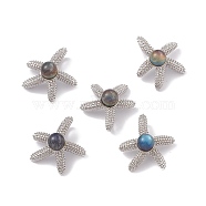 Natural Labradorite Pendants, Starfish Charms, with Antique Silver Color Brass Findings, 22.5x22x8mm, Hole: 6x2.5mm(KK-A173-13P)