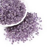 6/0 Transparent Inside Colours Glass Seed Beads, Triangle, Medium Purple, 3.5x3.5x3.5mm, Hole: 0.9mm, about 4500pcs/pound(SEED-N006-003L)