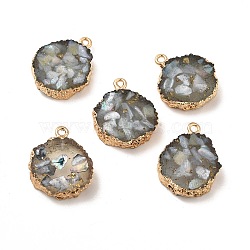 Transparent Resin Pendants, Nuggets Charm, with Light Gold Tone Iron Findings and Gold Foil, Black, 21~23x17~20x5.5mm, Hole: 1.6mm(CRES-F022-03D)