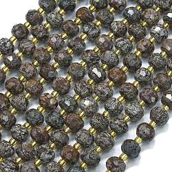 Natural Snowflake Obsidian Beads Strands, with Seed Beads, Faceted, Lantern, 8~8.5x6.5~7mm, Hole: 0.6mm, about 44pcs/strand, 15.16''(38.5cm)(G-K389-E32-01)