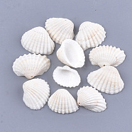 Clam Shell Pendants, White, 15~20x19~28x6~9mm, Hole: 1mm, about 315pcs/500g(SSHEL-S258-60)