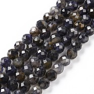 Natural Iolite Beads Strands, Faceted, Round, 6mm, Hole: 0.8mm, about 66pcs/strand, 15.43''(39.2cm)(G-P488-02B)