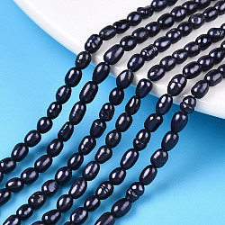 Natural Cultured Freshwater Pearl Beads Strands, Rice Beads, Dyed, Prussian Blue, 4~7x3~3.5mm, Hole: 0.6mm, about 73~77pcs/strand, 13.39~13.78 inch(34~35cm)(PEAR-S021-240)