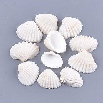 Clam Shell Pendants, White, 15~20x19~28x6~9mm, Hole: 1mm, about 315pcs/500g