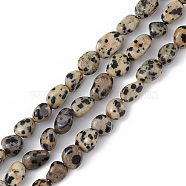 Natural Dalmatian Jasper Beads Strands, Chip, 5~11x4~7x4~7mm, Hole: 1mm, about 46~48pcs/strand, 15.35''(39cm)(G-B039-03A)
