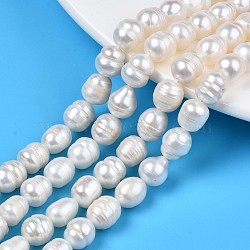 Natural Cultured Freshwater Pearl Beads Strands, Rice, Seashell Color, 8.5~10.5x7.5~8.5mm, Hole: 0.8mm, about 17~18pcs/strand, 7.28 inch~7.68 inch(17cm~18cm)(PEAR-N012-07C)
