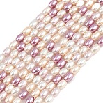 Electroplated Shell Pearl Beads Strands, Rice, Mixed Color, 4x3mm, Hole: 0.9mm, about 90pcs/strand, 15.94''(40.5cm)(BSHE-H113-06B-01)