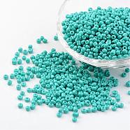8/0 3mm Baking Paint Glass Seed Beads, for Jewelry Making & Bead Crafting, Loose Spacer Beads, Dark Turquoise, 3mm, Hole: 1mm, about 962pcs/50g
(X-SEED-S002-K10)