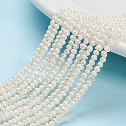 Natural Cultured Freshwater Pearl Beads, Grade A, Potato, Creamy White, 2~3mm, Hole: 0.8mm, about 140pcs/Strand, 13.39 inch(34cm)(X-PEAR-D050-1)