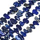 Natural Lapis Lazuli Beads Strands(G-L657-E01-01)-2