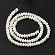 Natural Freshwater Shell Beads Strands(BSHE-E026-15A-01)-3