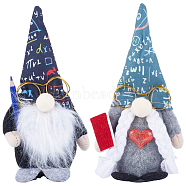 2Pcs 2 Style Cloth Gnome Faceless Doll, for School Classroom Party Ornaments Decorations, Mixed Color, 225x120x65mm, 1pc/style(AJEW-GF0008-37)
