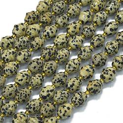 Natural Dalmatian Jasper Beads Strands, Bell, with Seed Beads, 11x10mm, Hole: 1.4mm, about 31pcs/strand, 15.35''(39cm)(G-K389-D16-01)