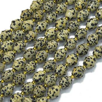 Natural Dalmatian Jasper Beads Strands, Bell, with Seed Beads, 11x10mm, Hole: 1.4mm, about 31pcs/strand, 15.35''(39cm)