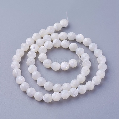 Shell Beads Strands(SSHEL-E571-38-6mm)-2