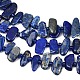 Natural Lapis Lazuli Beads Strands(G-L657-E01-01)-4